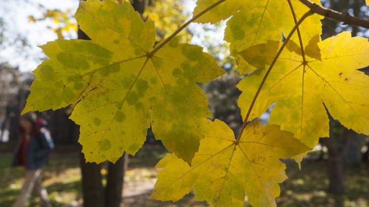 Облачността ще намалее утре