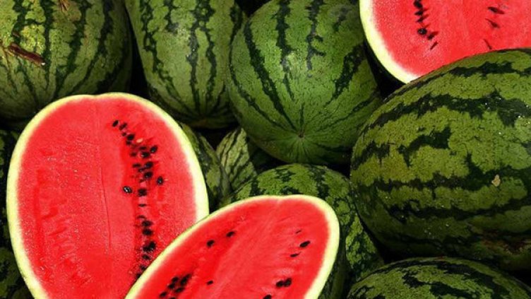 10-те тайни на динята