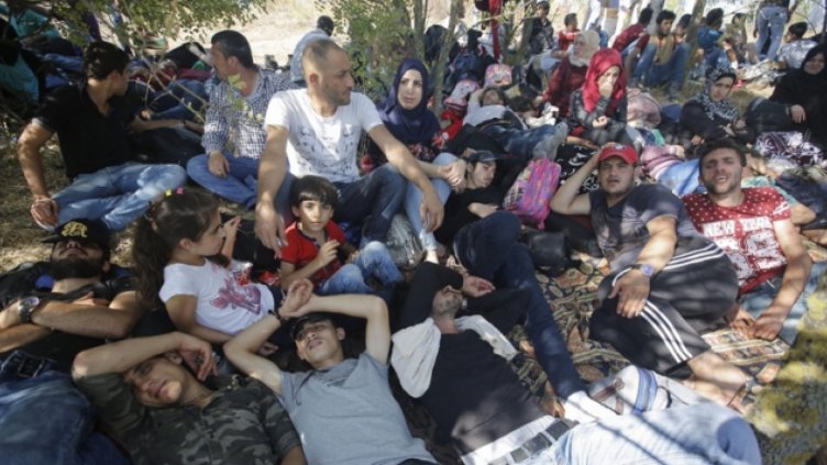 Хванаха 8 нелегални мигранти в товарен влак