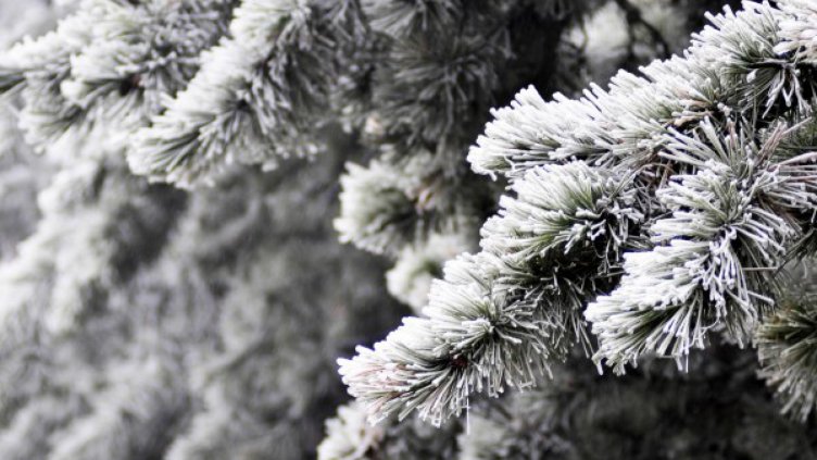 Валежите спират, но остава студено