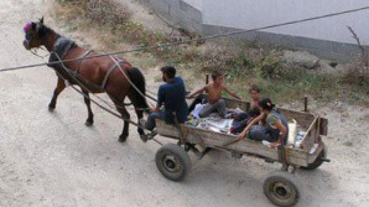 Има идея да се конфискуват каруците