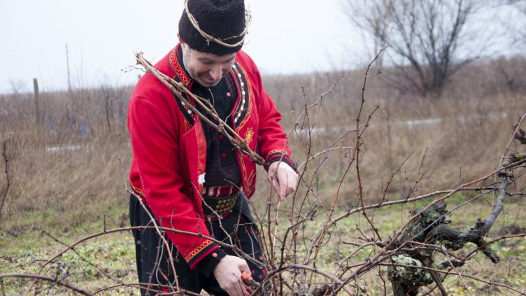 снимки: Ели Маринова