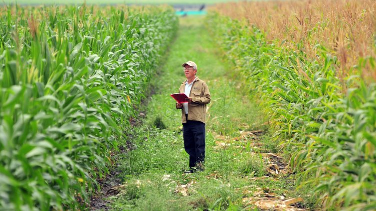 7,5% от работещите са в земеделието, горите или аквакултурите