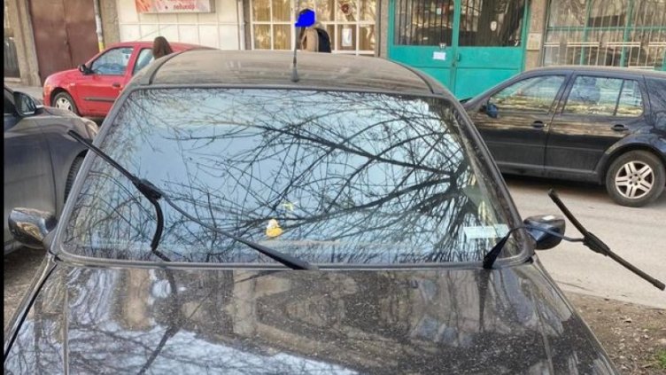 Варненски студент се оплака от тормоз в Плевен, чупят чистачките на колата му