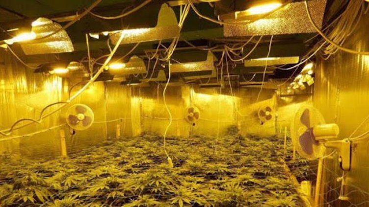 Разбиха нарколаборатория в Сливен