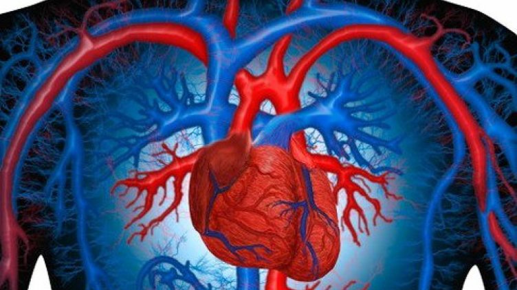 Днес е Световният ден на сърцето