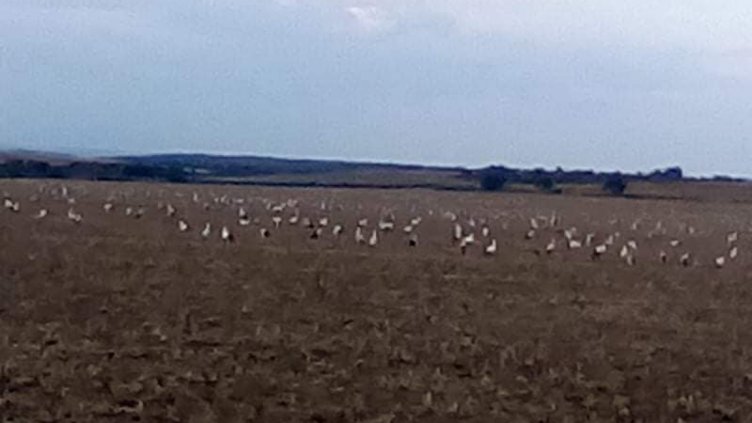 Снимки: Фейсбук; Veselina Chavdarova