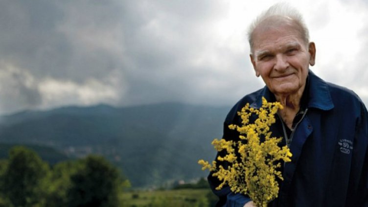 От 2018 г. ще дават сертификати за знания, придобити с практика