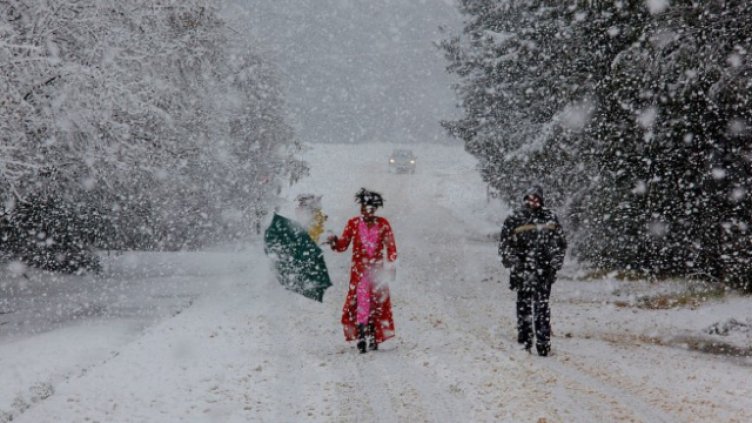 Бялата смърт взе 11 жертви от началото на ледената вълна у нас