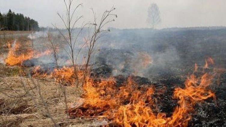 Пожар блокира бързия влак Варна- Пловдив