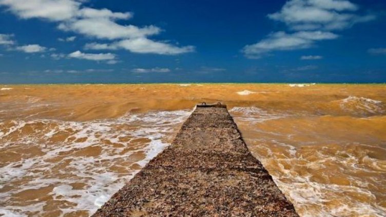 Черно море стана... жълто!