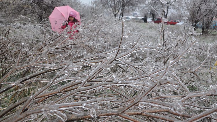Днес е неучебен ден за учениците във Варна