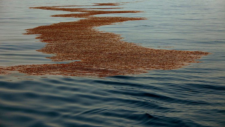 Варна става център за борба с нефтените разливи в Черно море