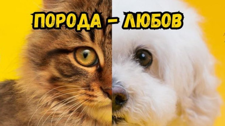 Фестивално изложение “Порода - Любов” се провежда във Варна