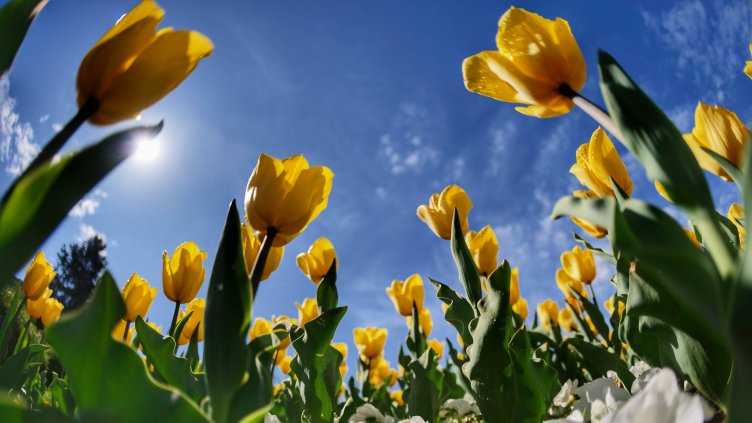 И утре ни очаква жега, градусите ще стигнат 35