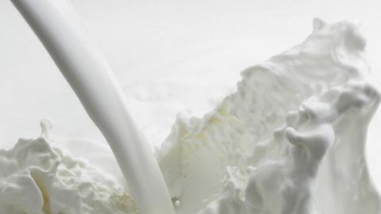 Конфискуваха 1 тон сурово мляко без документи