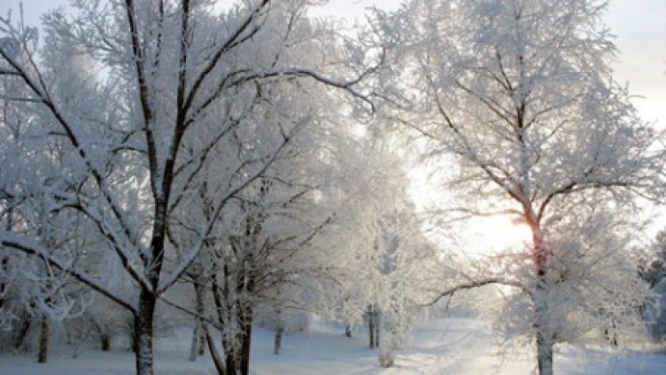 Жълт код е обявен за 15 области