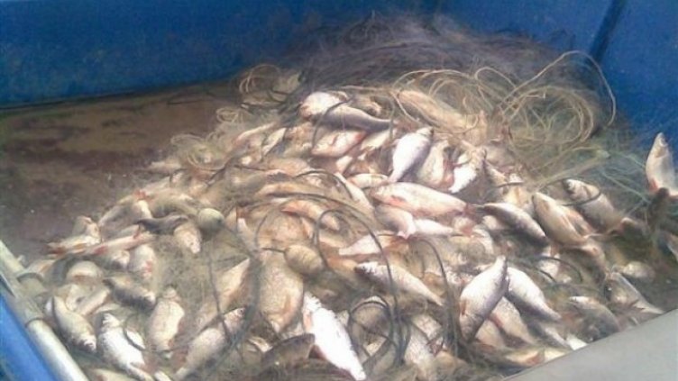 Иззеха близо 830 кг риба