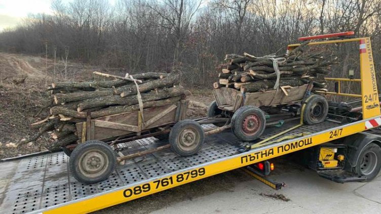 Спипаха двама рецидивисти да крадат дърва от "Джанавара"