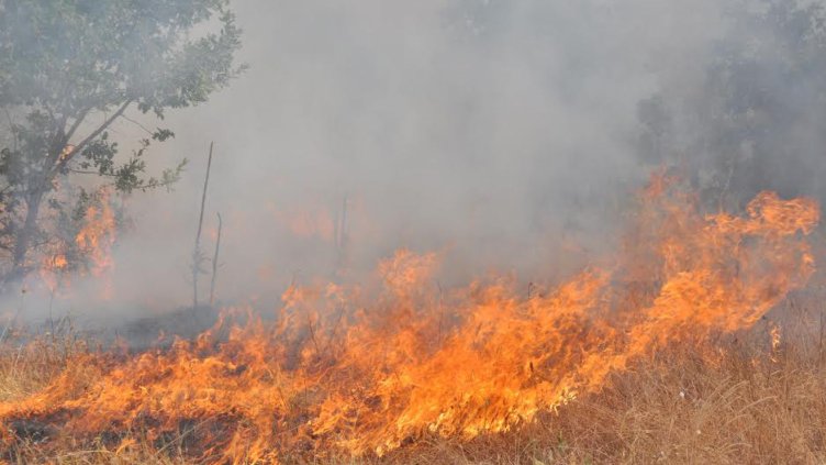 Пожар избухна край Пловдив