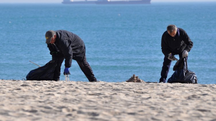 Снимка Пламен Гутинов