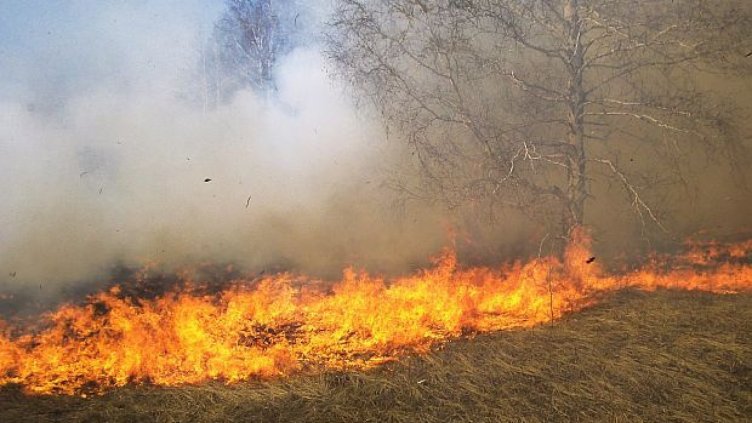 В пет области има опасност от пожари
