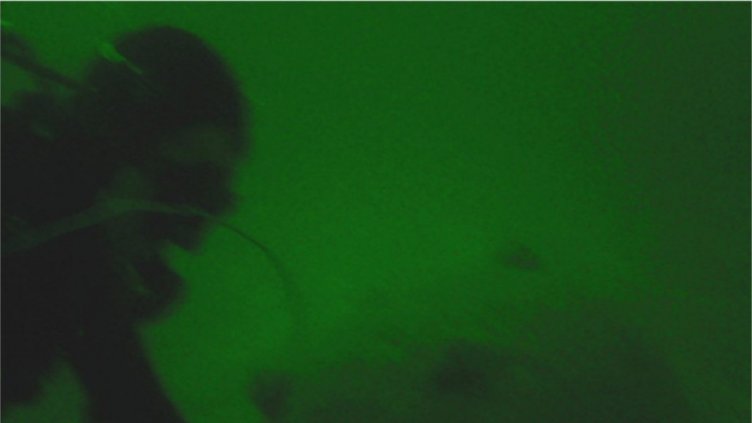 Морски мини от Първата световна война унищожи ВМС