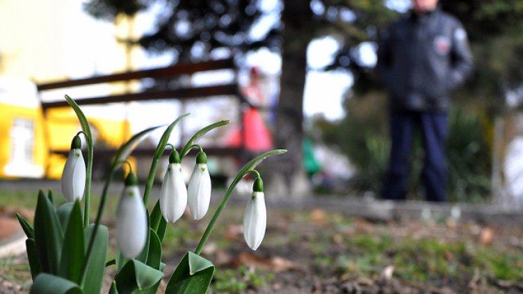 Снимка Пламен Гутинов, архив