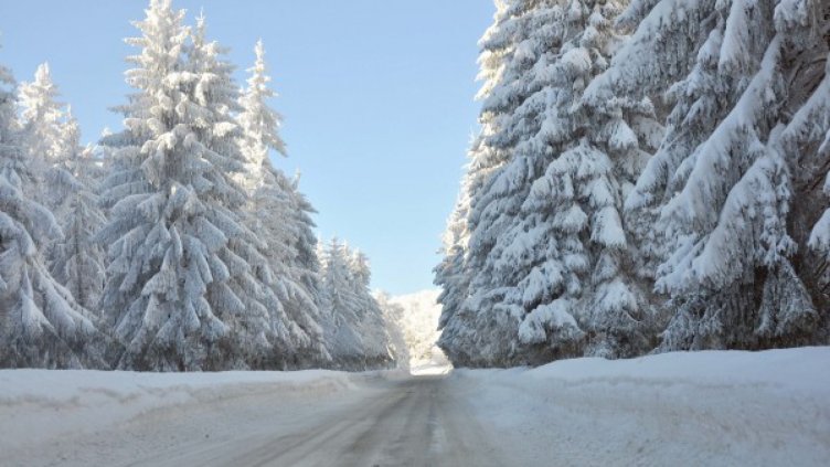 Ново ледено утро. В Добрич падна рекорд от 1942-а