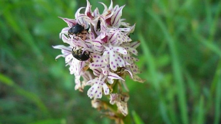 Снимка: Министерство на околната среда и водите  