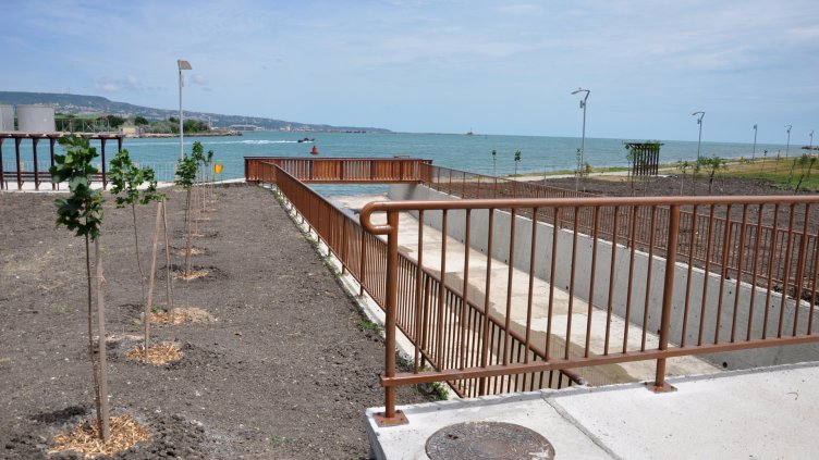 Снимка Пламен Гутинов