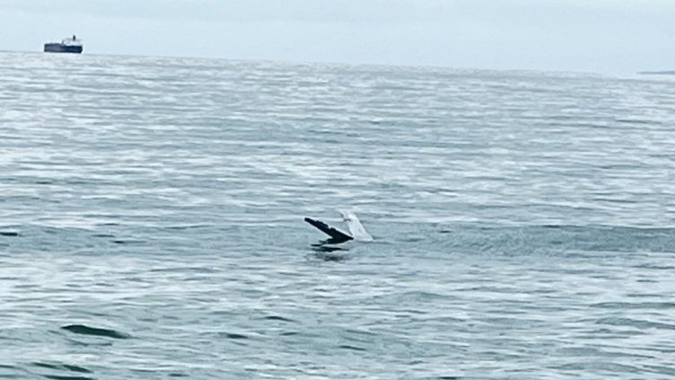 Снимката е илюстративна: ВМС/АРХИВ