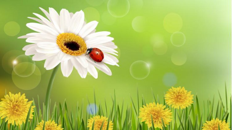 Топло и ветровито днес с до 25 градуса