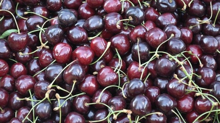 Черешите поевтиняват със 17 на сто до 4,15 лева за килограм