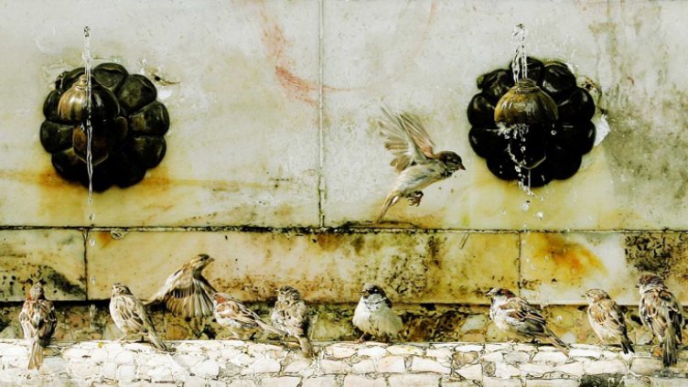 Продължаваме да пием неподходяща вода