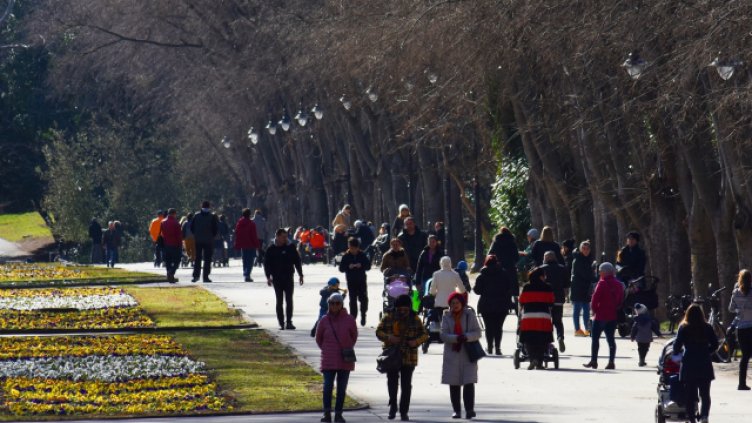 До 13 градуса в неделя, но с променлива облачност