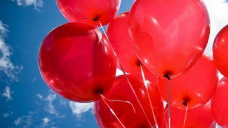 Днес е световният ден за борба с хемофилията