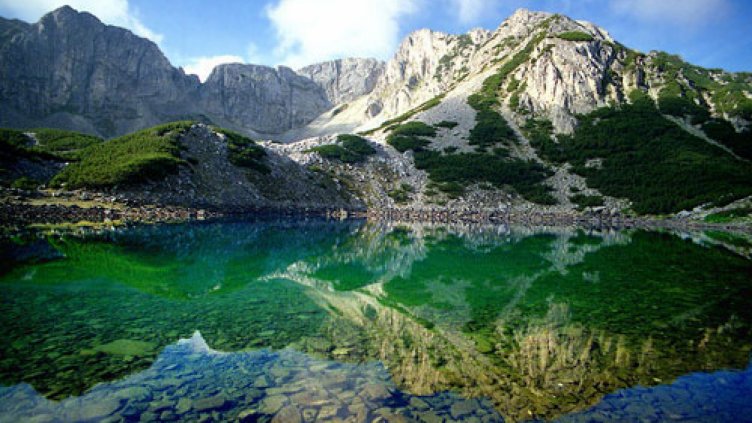 Пирин и "Сребърна" са в опасност заради дърводобив и строителство