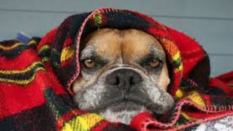 Синоптиците предупреждават за ниски температури и бурни ветрове