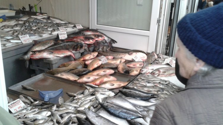 Снимка Ели Маринова