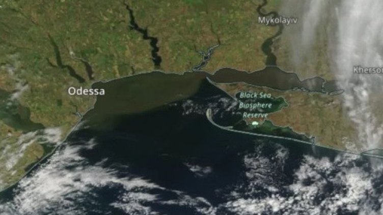 РЗИ: Морската вода по Северното ни Черноморие е чиста