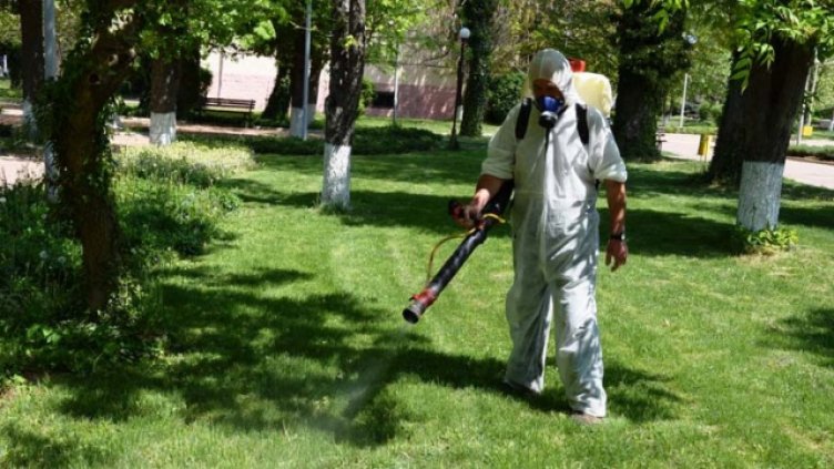 Започнаха да пръскат срещу комари във Варна