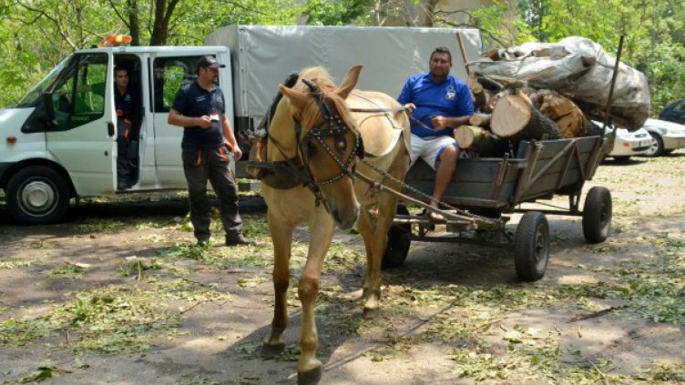 Полицията погна каруците, собствениците им не се стряскат
