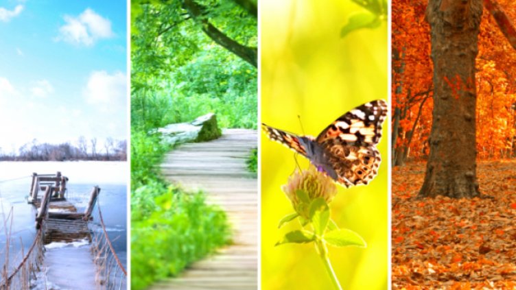 Кажи ни кой е любимият ти сезон, а ние ще ти кажем каква си!