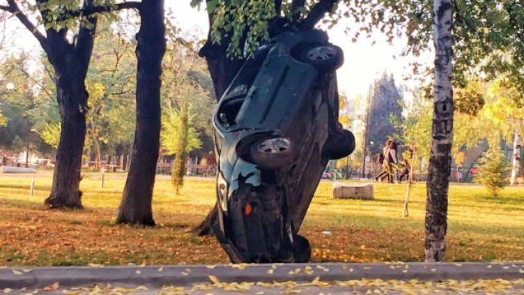 Снимка: btv