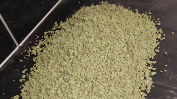 Оставиха в ареста само един от обвиняемите за високотехнологичната наркооранжерия край Варна