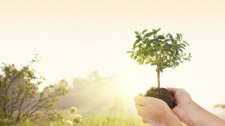 Часът на Земята събра близо 160 хиляди българи онлайн 