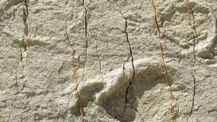 Откриха миниатюрни стъпки на динозавър