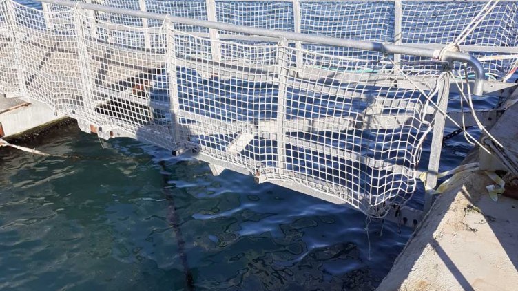 Ураганът във Варна повредил пристанище "Карантината", кметът Коцев разпореди спешна проверка (Снимки)