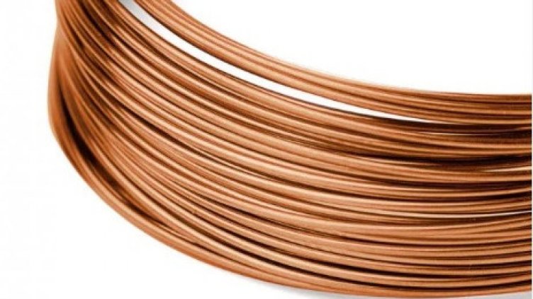 Арестуваха група "берачи" на жици